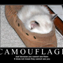 camouflage.png