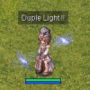 duple_light_info.gif