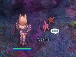 octopus1.jpg octopus1.jpg